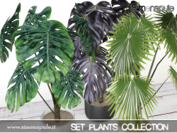 PlantsCollection113