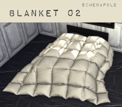 blankeT5